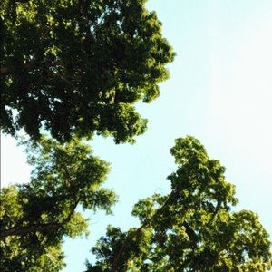 Meet your Posher, Adrianna